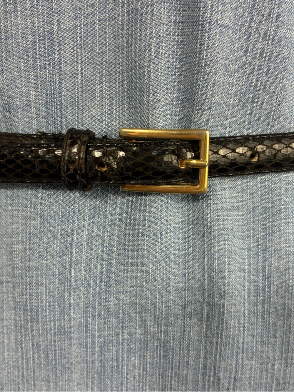 Charter Club Womens belt Sz L Genuine Snakeskin Textured Gold Buckle